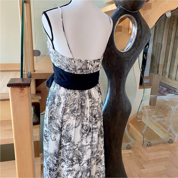 BCBG Max Azaria ..Black & off-white Silk Maxi dress . Size 6P . SO BEAUTIFUL ♥️ - Picture 11 of 16